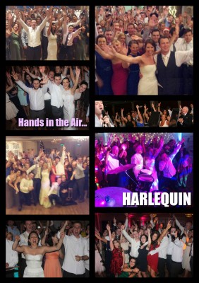 wedding bands ireland - harlequin 