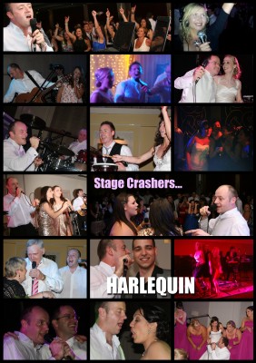 Wedding bands ireland - Stage Crashers Harlequin